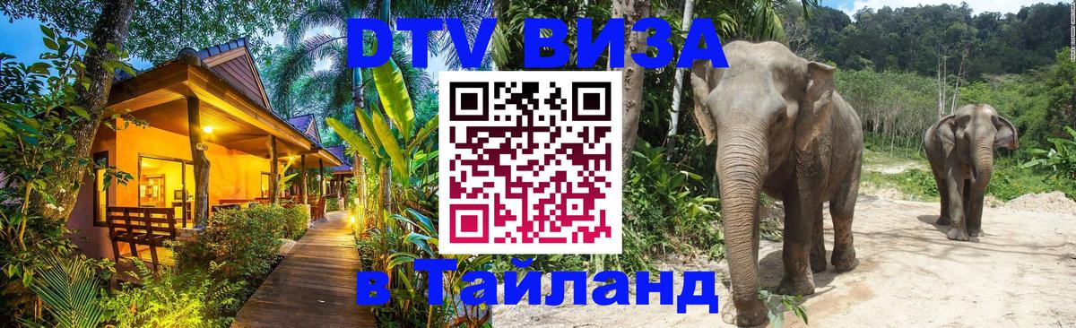 Купить DTV визу в Таиланд Краснодар 